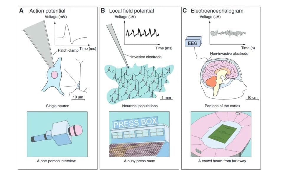 [转]无创脑电信号采集技术之一：EEG技术